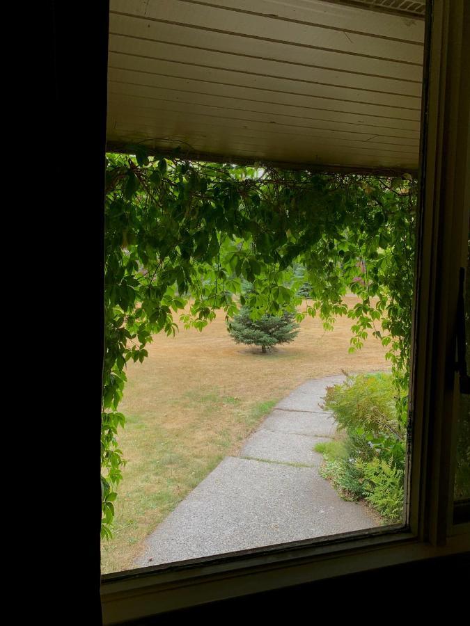 The Messy Owl Inn & Eco Haven Likely Extérieur photo