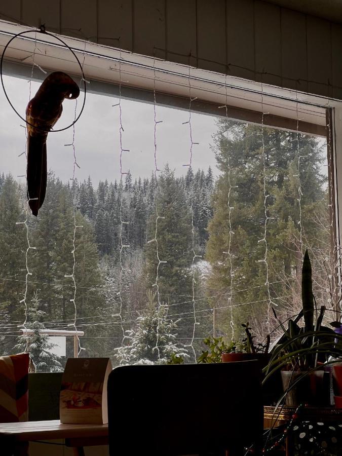 The Messy Owl Inn & Eco Haven Likely Extérieur photo