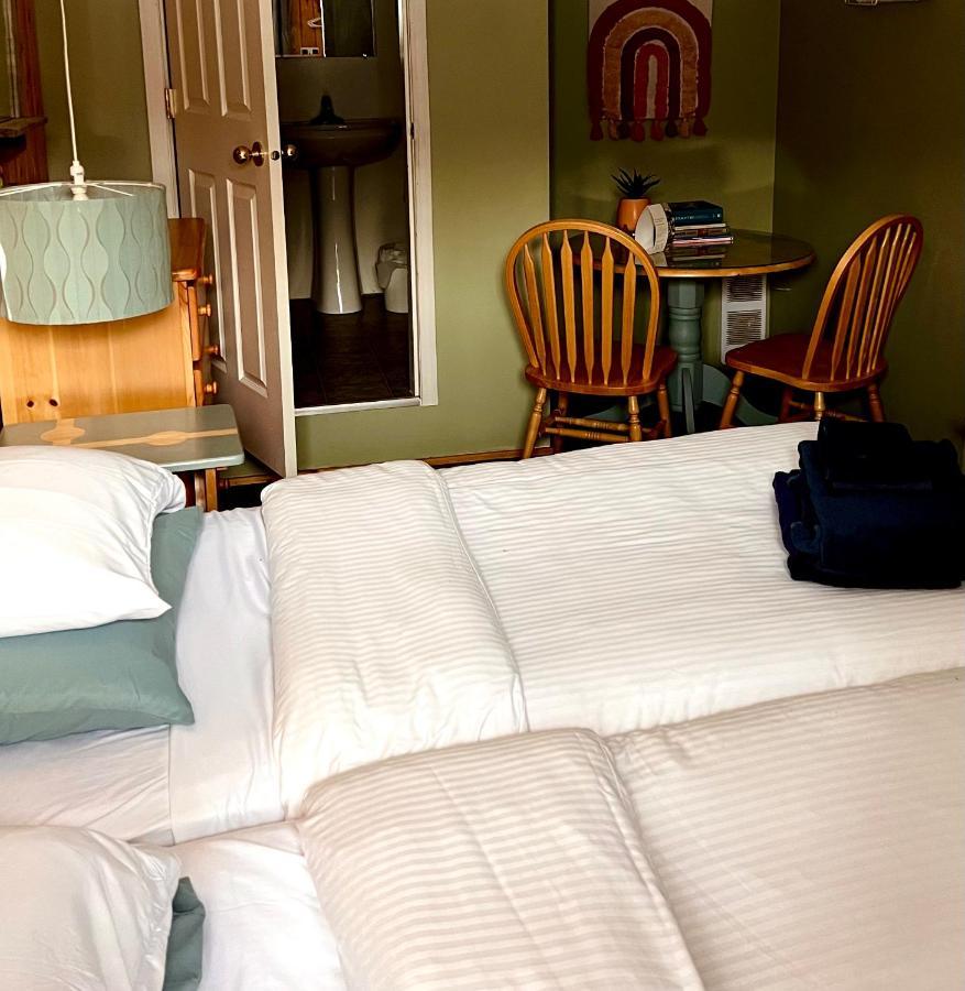 The Messy Owl Inn & Eco Haven Likely Extérieur photo